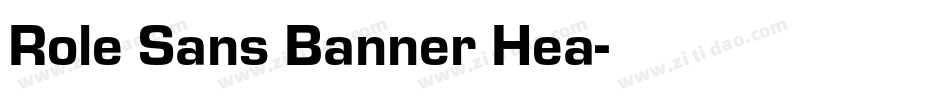 Role Sans Banner Hea字体转换